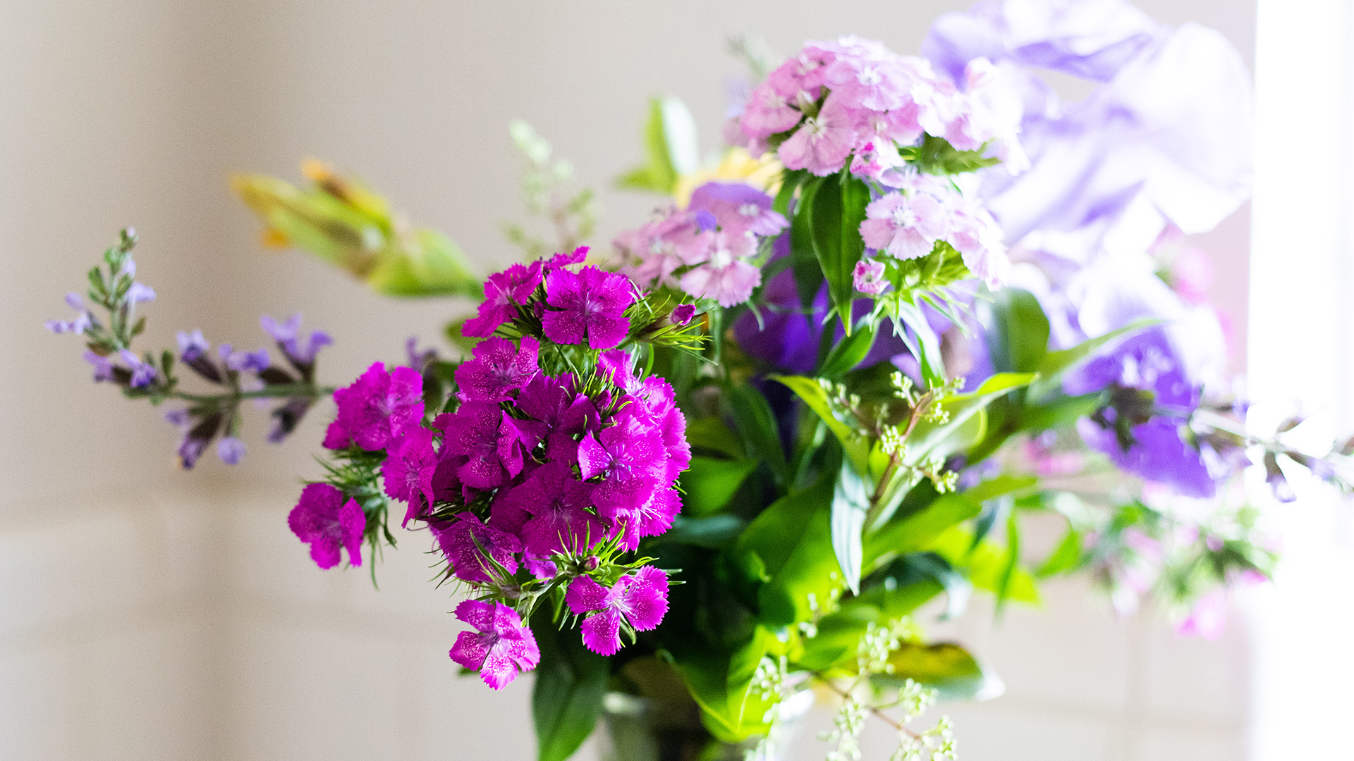 Thermo King-Cargo type-Flowers