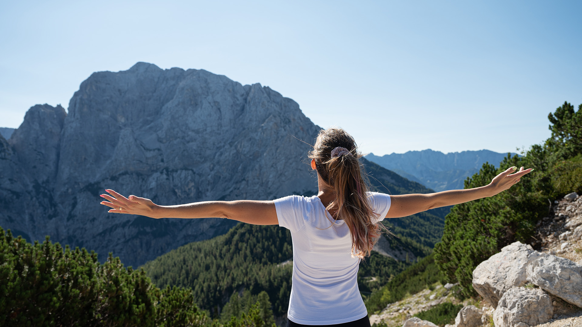 Thermo King - Regulations - NRMM